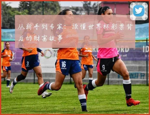 从新手到专家：读懂世界杯彩票背后的财富故事