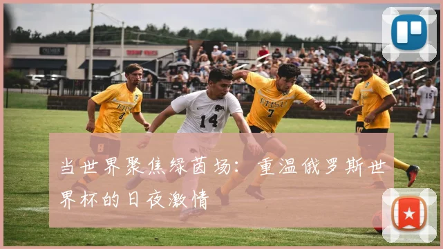 当世界聚焦绿茵场：重温俄罗斯世界杯的日夜激情